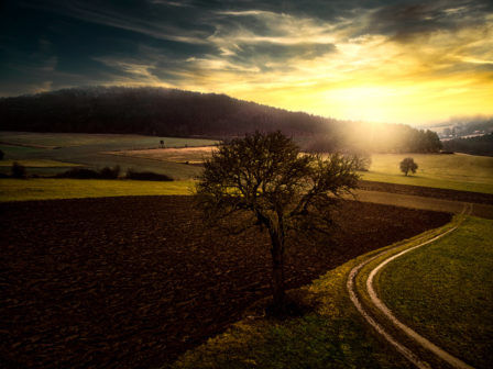 Bildmontage Sonnenuntergang Sittendorf