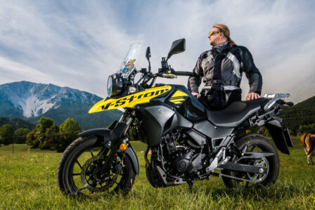 Suzuki V-Strom Fahrerportrait